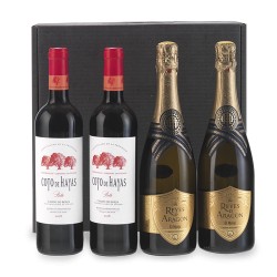Vino 700