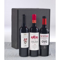 Vino 18