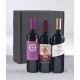 Vino 21