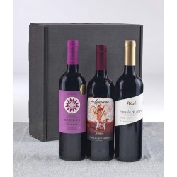 Vino 21