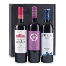 Vino 17