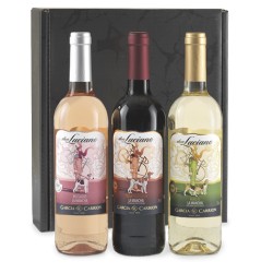 Vino 22