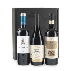 Vino 13